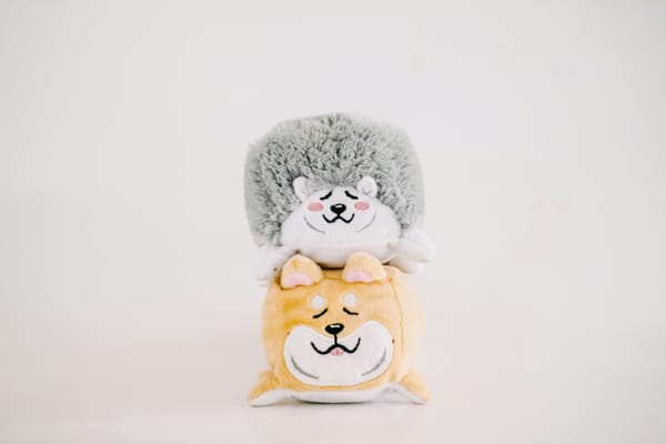Korkak Avcı ve Peluş Oyuncak